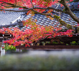 Obraz premium 京都一乗院エリアの紅葉