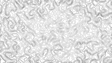 White wave paper curved reliefs abstract background, Abstract topographic contours map background. Geographic mountain relief. Abstract lines background. Contour maps. Business concept.