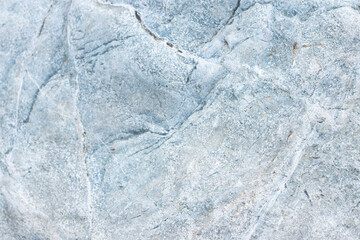Obraz premium Garden center. Gardening, shop. Landscape design. Stones.