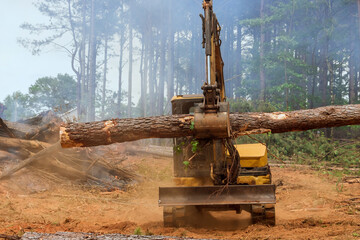 In the forest, it conducts work on tractor manipulator lifts logs of process to prepare land for...