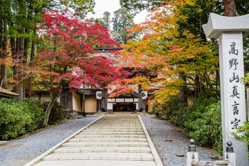 高野山（和歌山県高野町）の紅葉