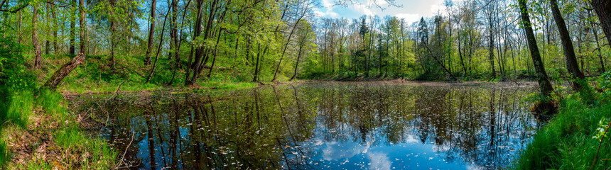 Fototapeta na wymiar Panorama of forest lakes in spring, young leaves and freshly blossomed buds of trees and shrubs