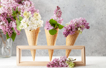 Various lilac flowers in ice cream cones