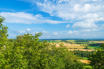 Rural landscape view from the treetops