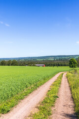 Fototapeta na wymiar Gravel road in by a field in a rural landscape view