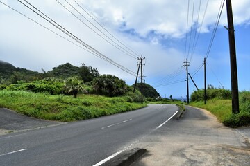 道路、奄美大島、国道、海岸沿い