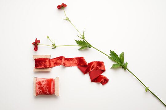 Red velvet ribbons on spools of different sizes with a branch of a red flower on a white background