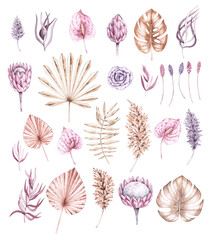 Watercolor boho set of tropical plants in pastel shades