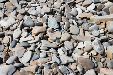 Garden center. Gardening, shop. Landscape design. Stones.