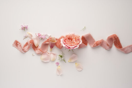 Wedding composition, light pink velvet ribbon on a white background with a rose and flower petals nearby. Decor for the wedding