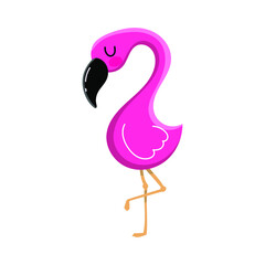 flamingo on the white background