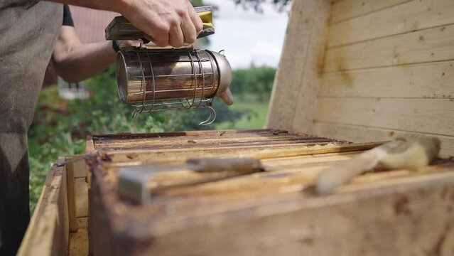Apiculture Beekeeper taking Safety Precautions by Holding and Pumping a Steel Bee Smoker to Smoke a Wooden Bee Hive, Traditional Apiarist Worker in Farm using Hive Tools