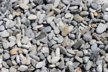 Garden center. Gardening, shop. Landscape design. Stones.