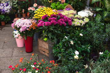 Flower market with different beautiful plants