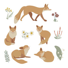 Scandinavian style fox and floral set isolated
