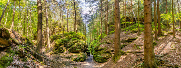 Panoramic view over magical fairytale forest at the hiking trail in the national park Saxon Switzerland near Dresden and Czechish border, Saxony, Germany.