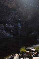 waterfall in the forest