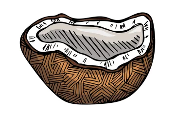 Schilderijen op glas Vector coconut clipart. Hand drawn nut icon. Tropical illustration. For print, web, design, decor, logo. © Daria Shane
