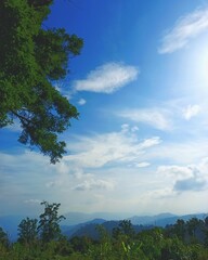 Obraz premium sky of sky in my world