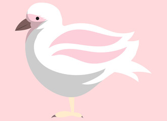 White bird waterfowl stands side view. Feathered seagull with pink wings. Vector colorful bird cute albatross birdie, mallemuck. Avian species, wild life, fauna in forest. For nature, travel concept