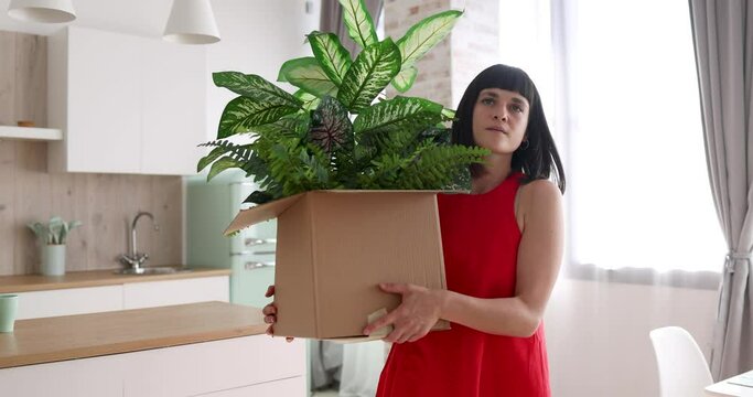 Beautiful woman carrying plants packed in cardboard box