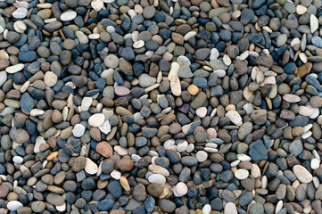 Stones to decorate the garden in front of the house Many sizes and different colors