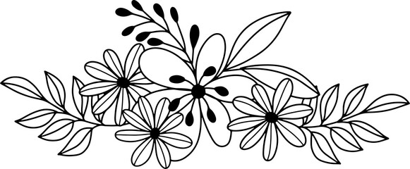 collection forest fern eucalyptus art foliage natural
leaves herbs inline style. Decorative beauty, elegant illustration 
Vector Flower Botanical