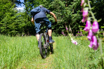 Naklejka premium Mountainbiker unterwegs im Wald