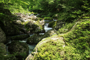 愛媛県内子町　小田深山渓谷　安芸貞渕周辺の風景