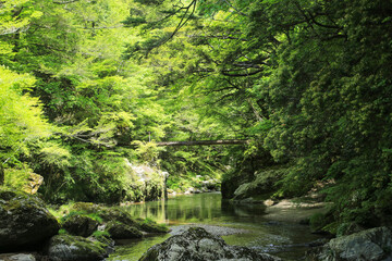 愛媛県内子町　小田深山渓谷の風景