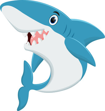 Shark cartoon isolated on white background
