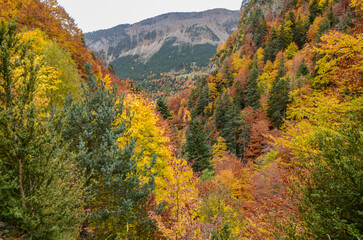 Fototapeta premium Spain