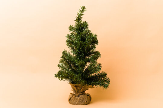 Small Christmas Tree Isolated On Beige Background