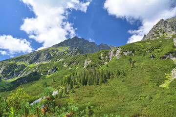 Fototapeta na wymiar Tatra Mountains trail through Dolina Roztoki, Poland.