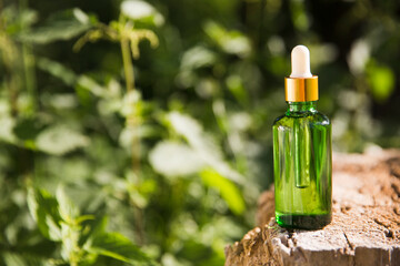 cosmetic products green glass bottles with oil on the roots of the tree against the background of green grass. eco-friendly natural product