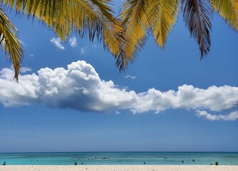 Beach with trees