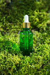 cosmetic products green glass bottl with oil on moss against a forest background