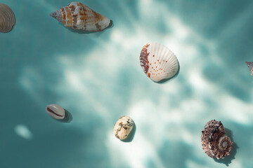 Different kind of seashells on the blue background with underwater effect top view.