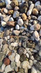 Beach with the sea in the background.