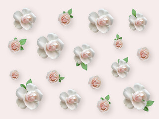 white roses on a white background.