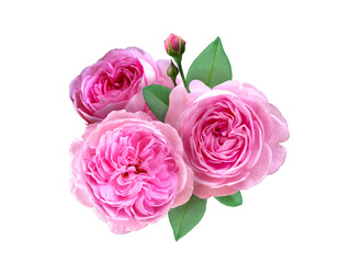 Pink Rose Flower arrangement