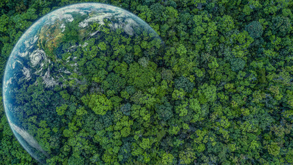 Aerial top view green forest with earth, Green planet in your hands, Save Earth, Texture of forest...