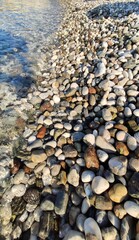 Beach with the sea in the background.