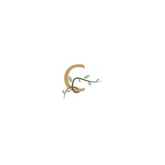 Fototapeta premium letter C logo vector illustration design