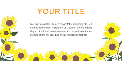 Vector banner for sunflower fields. No background. copy space