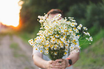 A man is holding a bouquet of white field daisies. Camomile daisy flowers in summer day.