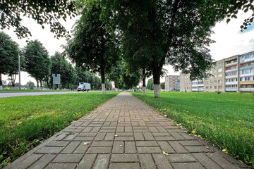 Green tree alley, path for walking on the fresh air in town.