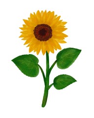 Obraz premium ひまわりの花のイラスト