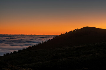 Golden hour in mountains, overgrown with pines
