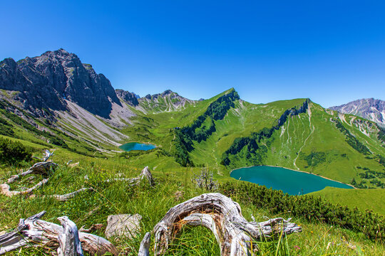 Tannheimer Tal - Traualpsee - Lache - Schochenspitze 